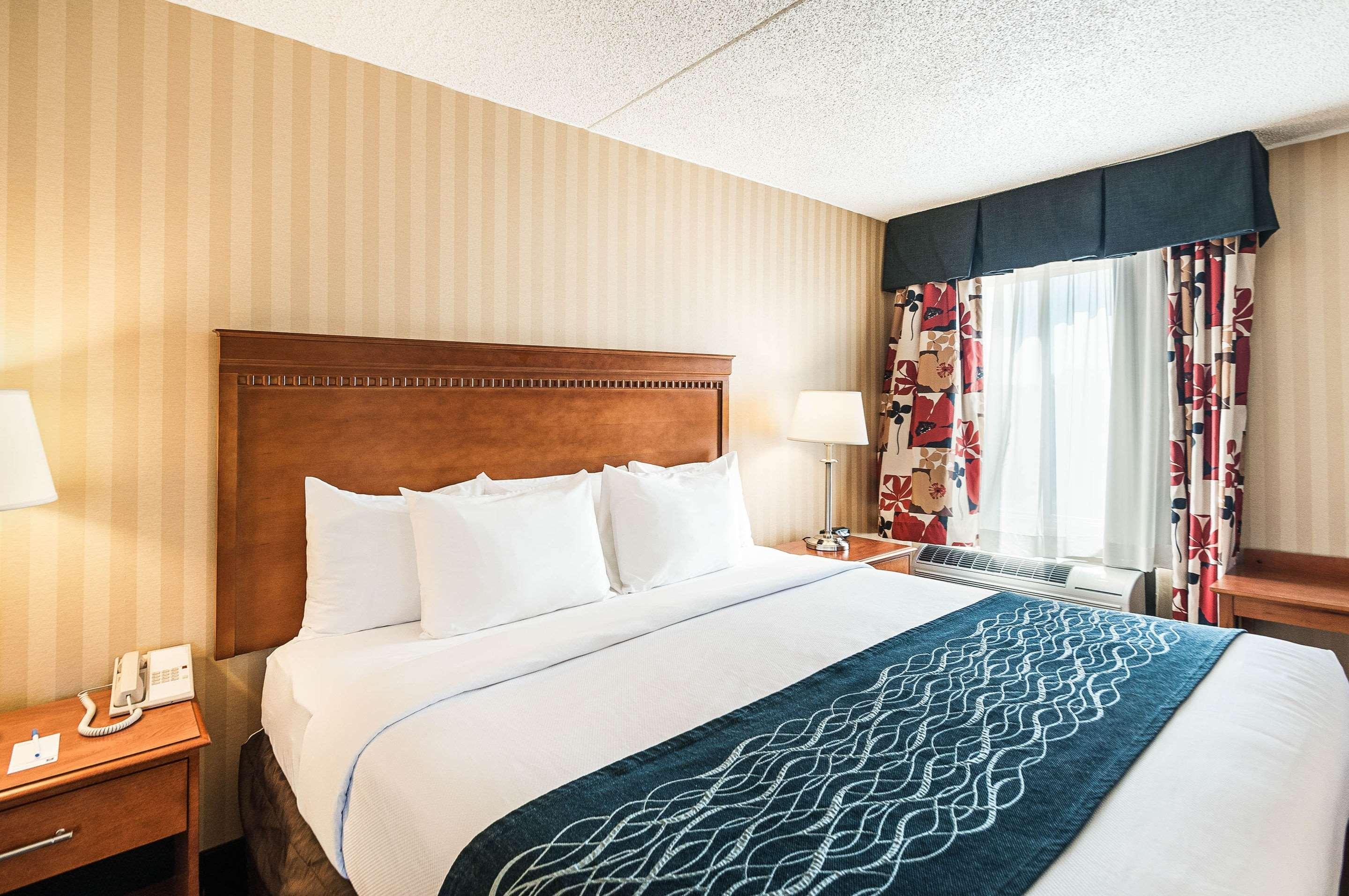 Comfort Inn & Suites Alexandria West Extérieur photo